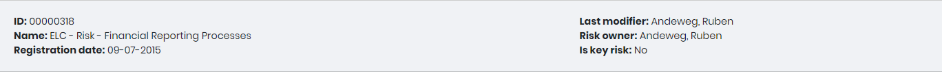 The summary bar of a saved risk